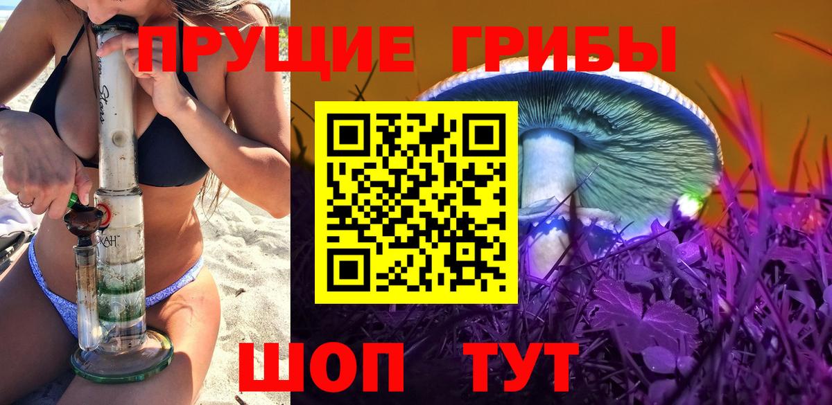 Екатеринбург  Галлюциногенные грибы Cubensis  Вход с VPN 